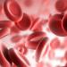 тромбоциты в составе крови
