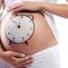как узнать сколько недель беременности