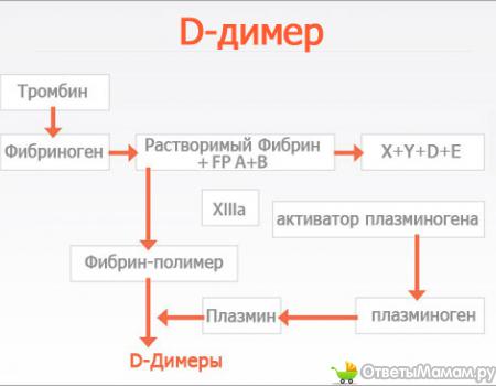 как сдавать анализ на д димер