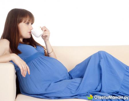 цикорий заменит кофе при беременности