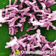 Описание препарата Бактериофаг Стафилококковый