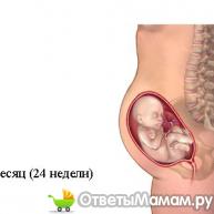 беременность на 22 и 23 неделе