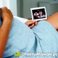 рассчитать беременность по месяцам