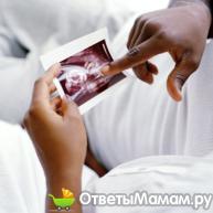 7 неделя беременности от зачатия