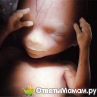 развитие ребенка на 14 неделе беременности