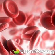 тромбоциты в составе крови