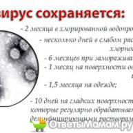 устойчивость ротавирусной инфекции